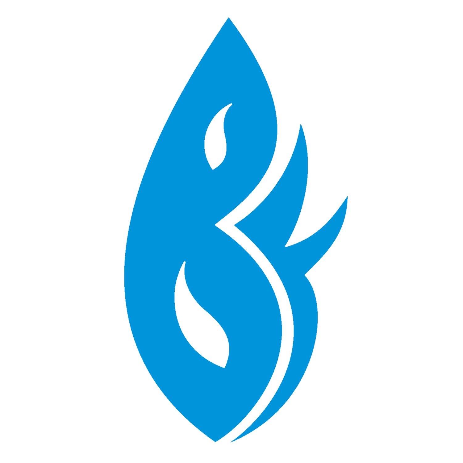 BluFlame Consulting logo